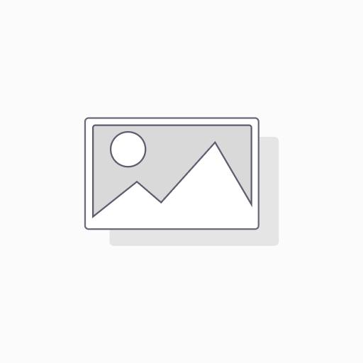 [ICLPFM1S] ICLPFM1S